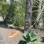 Casa Sonora