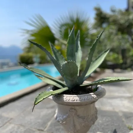 Casa Sonora Appartement *