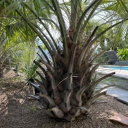 Casa Sonora * Orselina