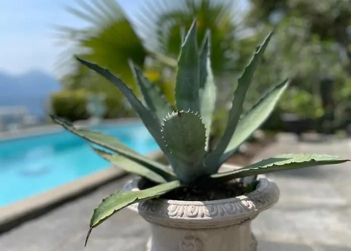 Casa Sonora شقة *