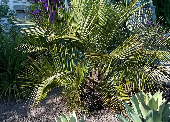 Lägenhet Casa Sonora Orselina