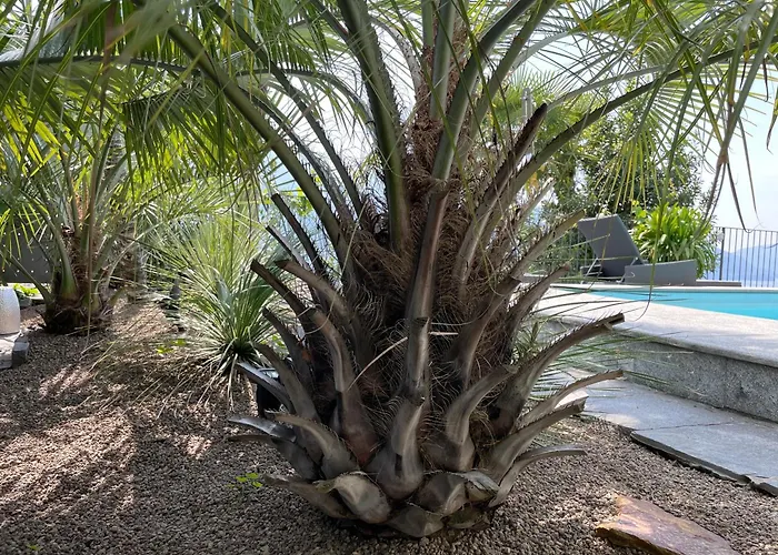 Casa Sonora * Orselina