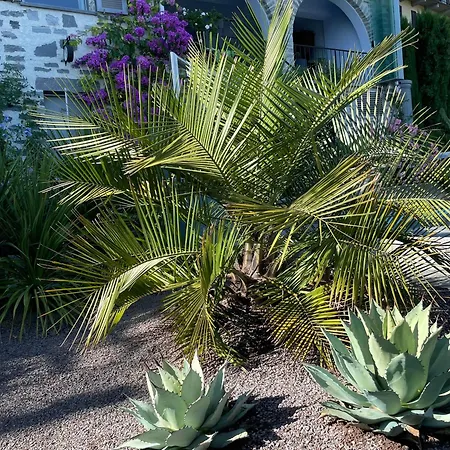 Apartment Casa Sonora Orselina